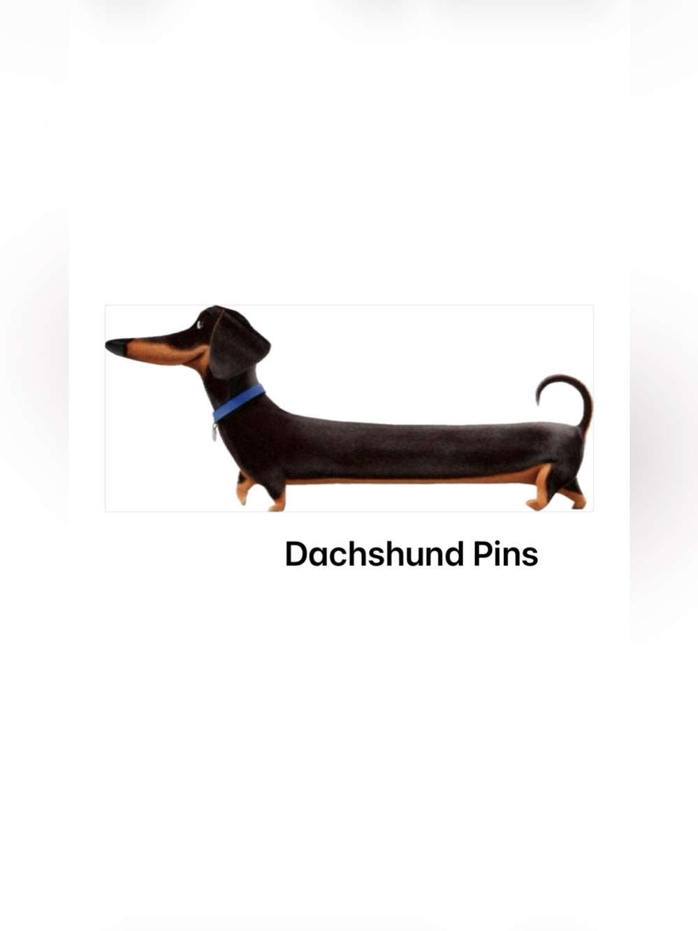 🩷❤️🧡🩷❤️🧡🩷❤️🧡🩷❤️🧡🩷